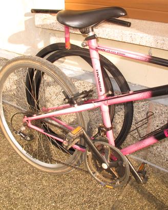 Bicicletta mountain bike Bianchi serie ragno