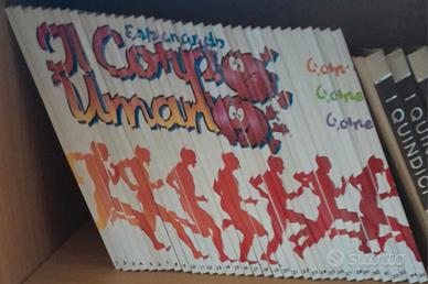 Collezione Esplorando il corpo umano
