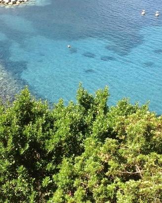 Monolocale con soppalco