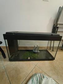 Acquario 100lt