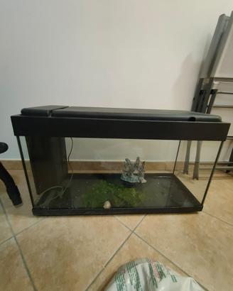 Acquario 100lt