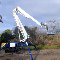 Piattaforma aerea cestello ragno