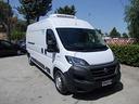 fiat-ducato-isotermico-coibentato-km-33-200-