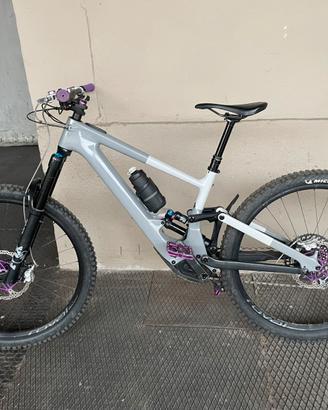 Kenevo sl expert