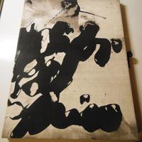 Libro artista raro 12acqueforti originali stupendo