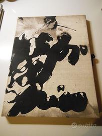 Libro artista raro 12acqueforti originali stupendo