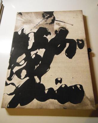 Libro artista raro 12acqueforti originali stupendo