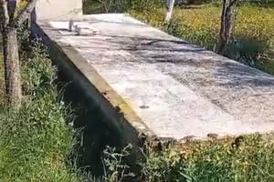 Terreno agricolo zona Belvedere