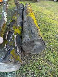 Tronchi di legno