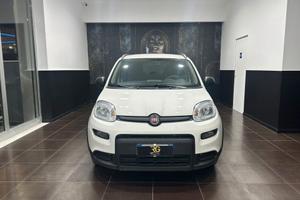 Fiat Panda FireFly S&S Hybrid 1.0 Ibrido 2024
