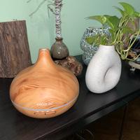 Vaporizzatore cecotec