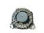 Immagine 7