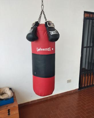 Sacco da pugilato / guantoni leone