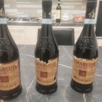 amarone della valpolicella  aldegheri 