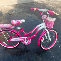Bici 20