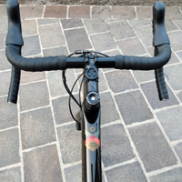 Gravel Bergamont