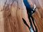 Immagine 24