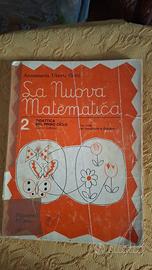 Libro di matematica 2 elementare