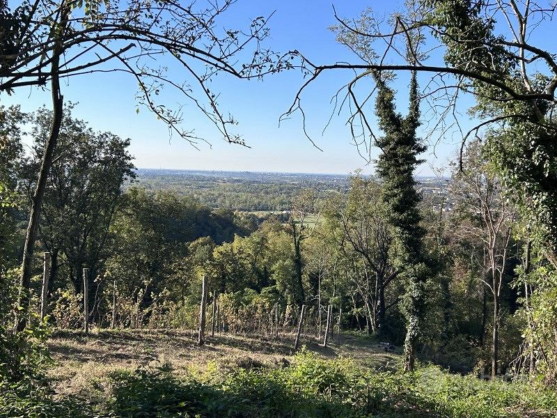 Terreno con vista panoramica immerso nei boschi - Vista 3