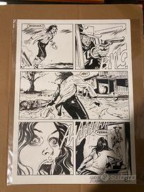 Maurizio di Vincenzo Tavola Originale Magico Vento