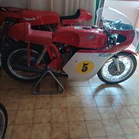 Mv Augusta - Benelli - Ancillotti Competizione