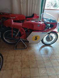 Mv Augusta - Benelli - Ancillotti Competizione
