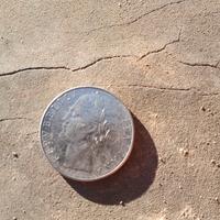 moneta 100 lire 1977