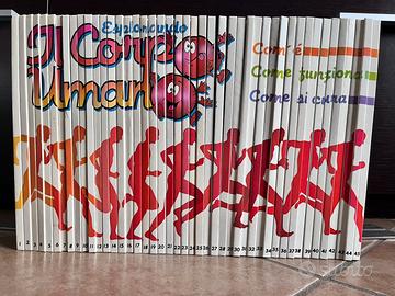 Esplorando il corpo unano