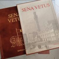 Libro storico Sena Vetus stampa nr 318 su 999