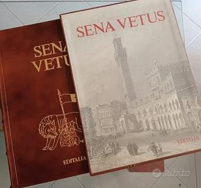 Libro storico Sena Vetus stampa nr 318 su 999