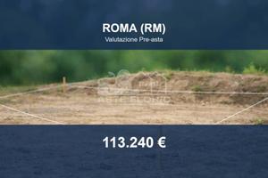 Immobile in asta di 20655 m² a Roma