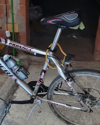 bicicletta da uomo