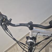 Bicicletta donna elettrica