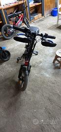 Bici elettrica