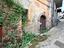 Immagine 5