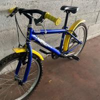 Bicicletta