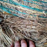 Fieno Paglia ed erba medica