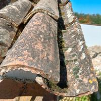 Coppo anticato / Coppi Anticati / Tegole