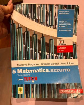 Matematica azzurro vol 5