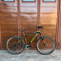 Bicicletta Mountain bike bottecchia