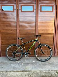 Bicicletta Mountain bike bottecchia