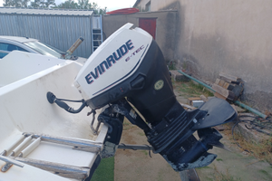 Motore fuoribordo evinrude 40 etec