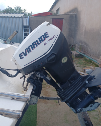 Motore fuoribordo evinrude 40 etec