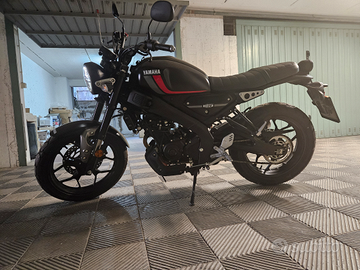 Yamaha XSR 125 - 2023