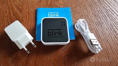 Blink sync Module + Blink Mini