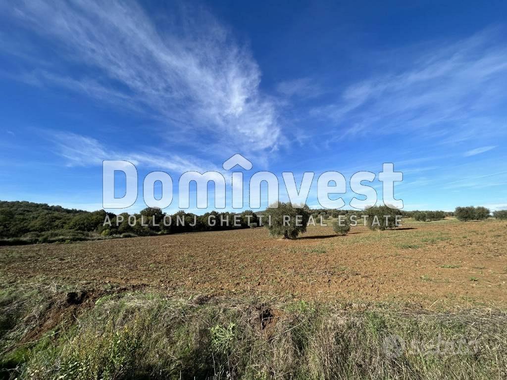 Rustico / Casale di 125 m² con 2 locali a Capalbio - Vista 5
