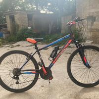 Bicicletta 26