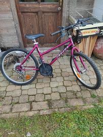 bicicletta 