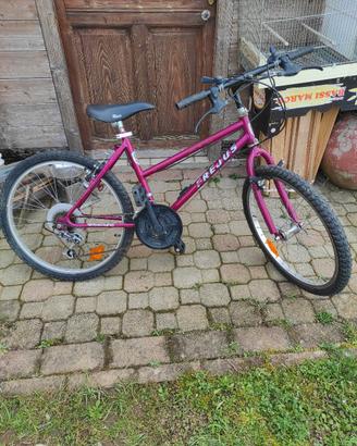 bicicletta 