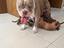 Immagine 5